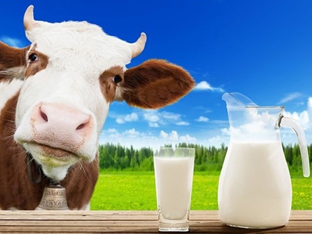 Kuh mit Milchglas